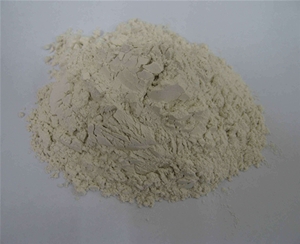 杭州沸石粉