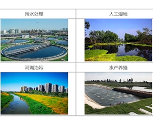 杭州水质改良剂